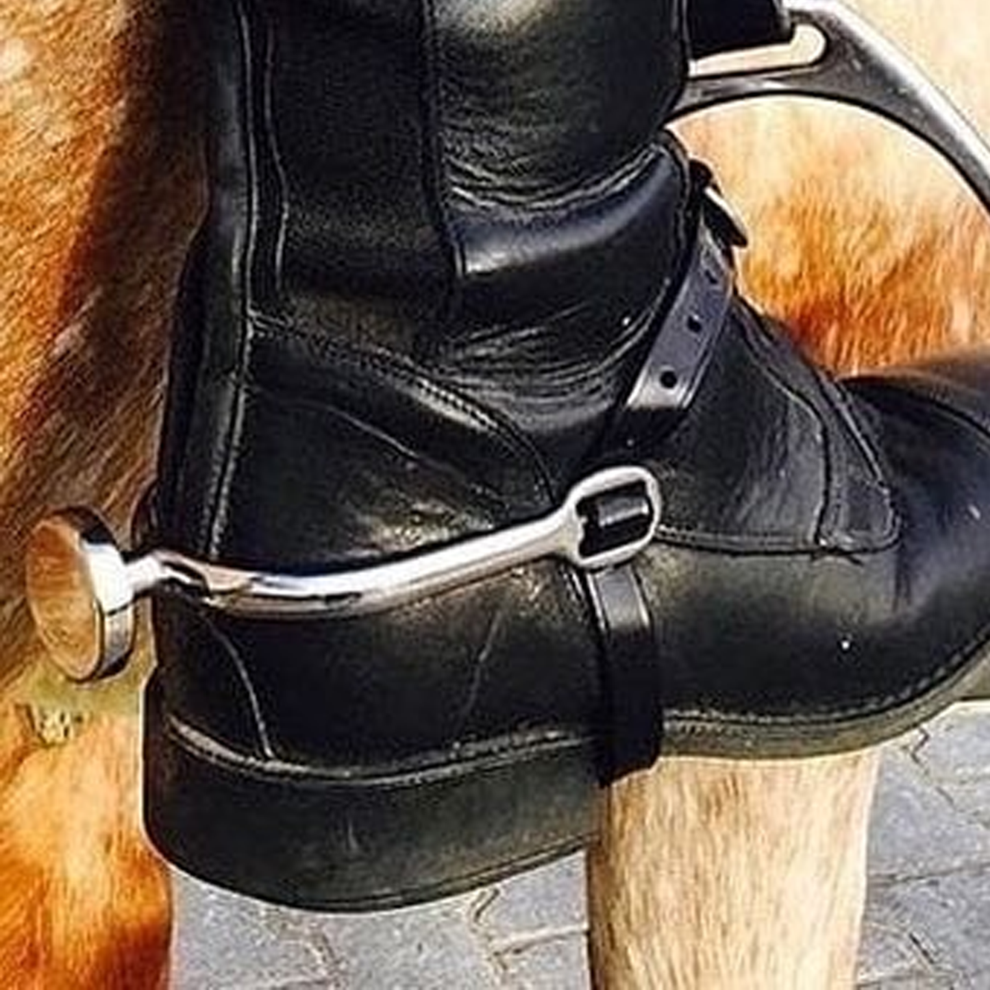 Spursuader Spur English