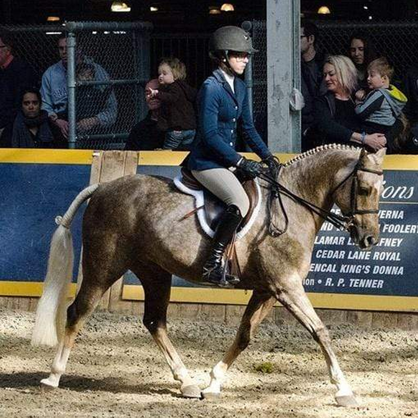 Comfort Pony English Long Girth