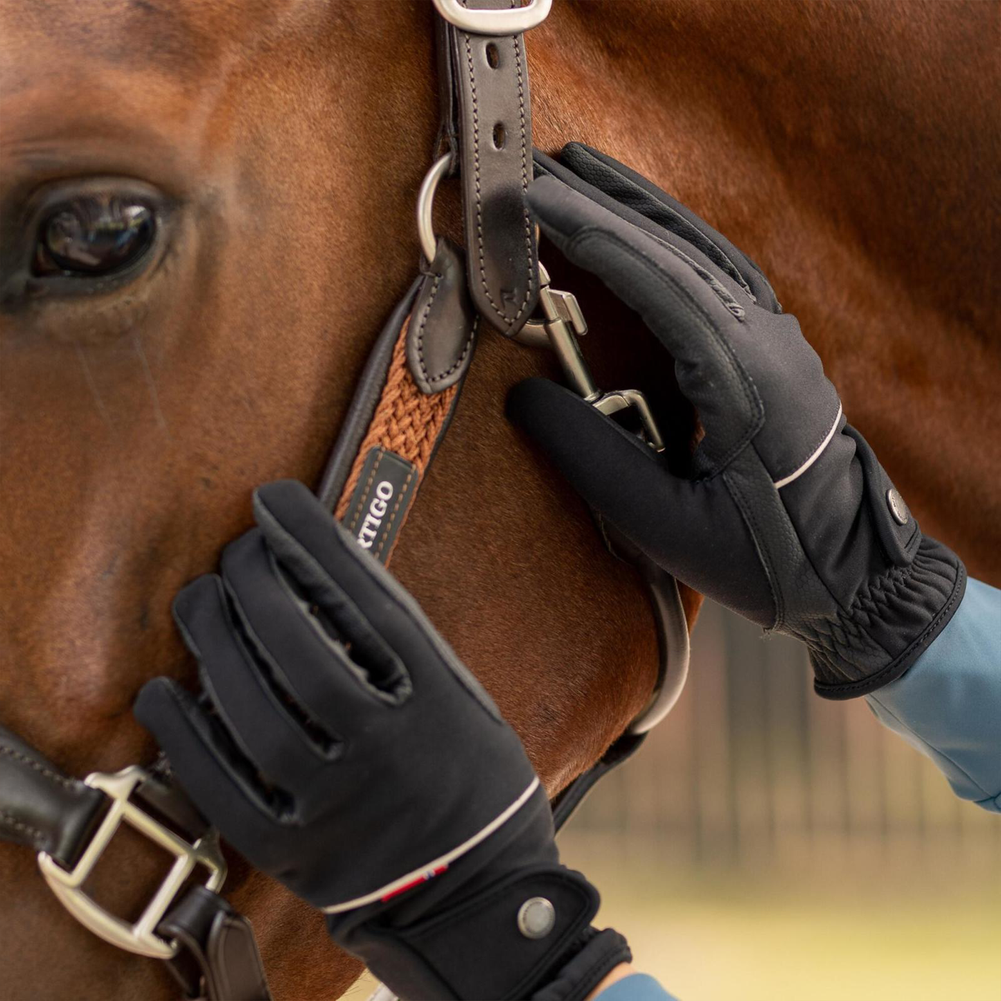 Rahel Thinsulate Winter Riding Gloves