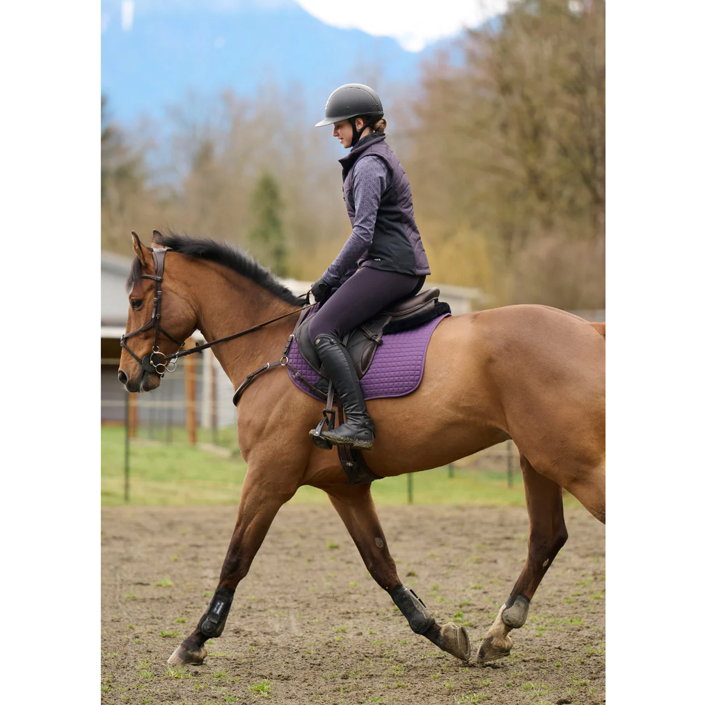 Counter Balance Quilted Riding Vest