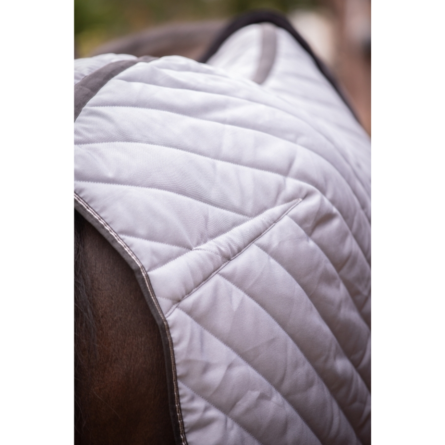 Diagonal Stable Rug 200g