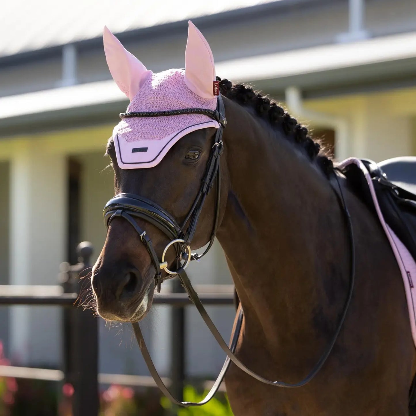 Essence Fly Hood