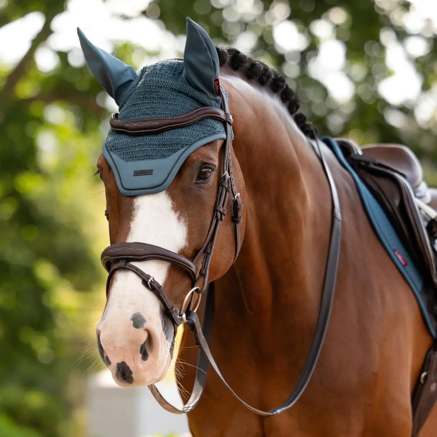 Essence Fly Hood