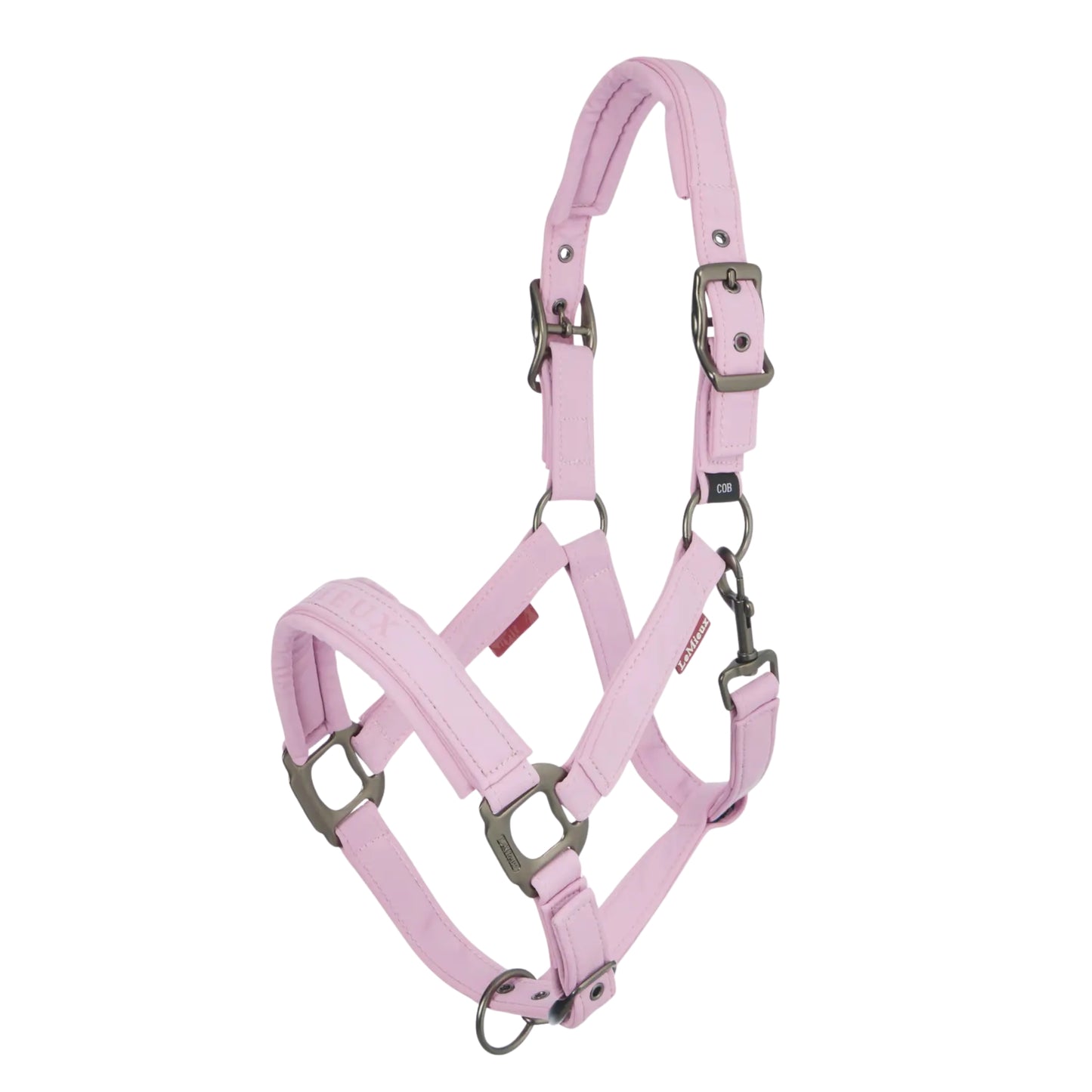 Essence Headcollar