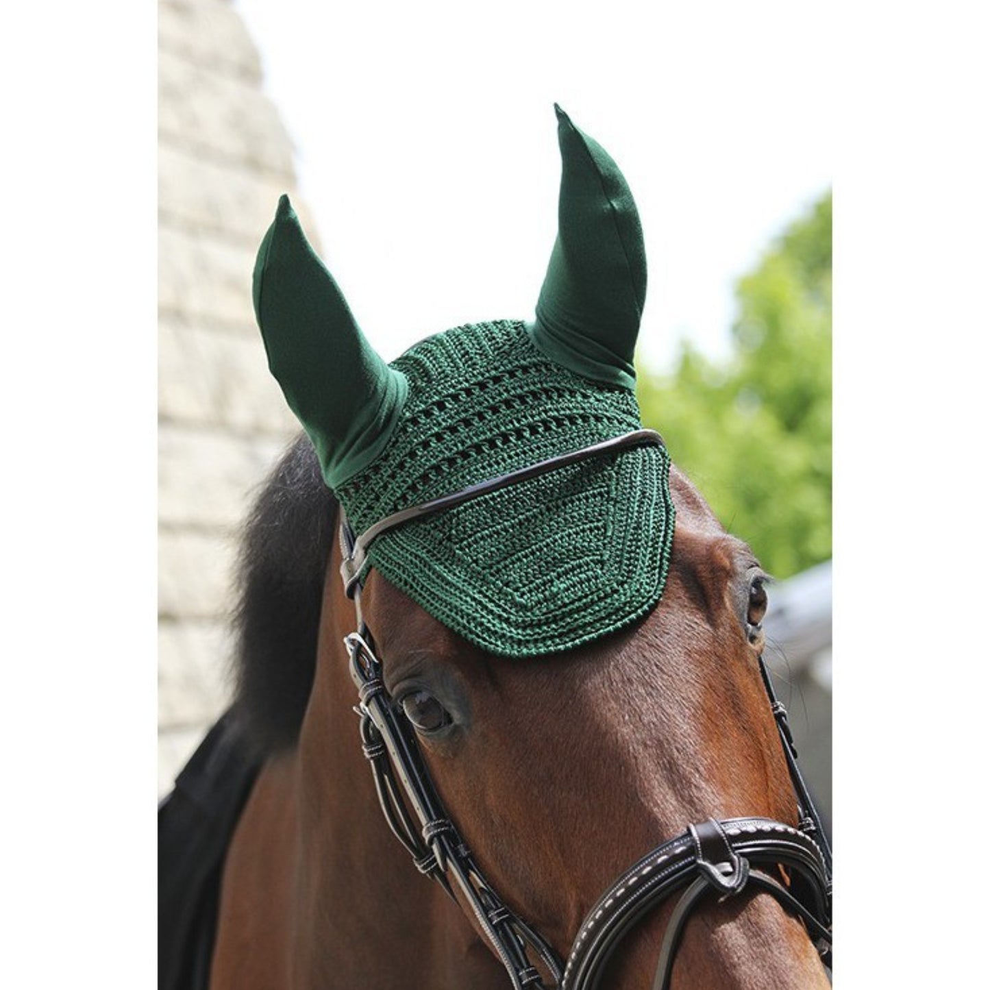 Prem's Fly Veil