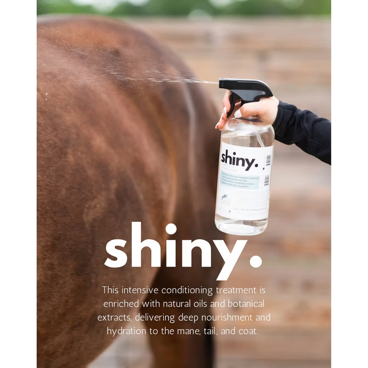 Shiny Mane & Tail Conditioner