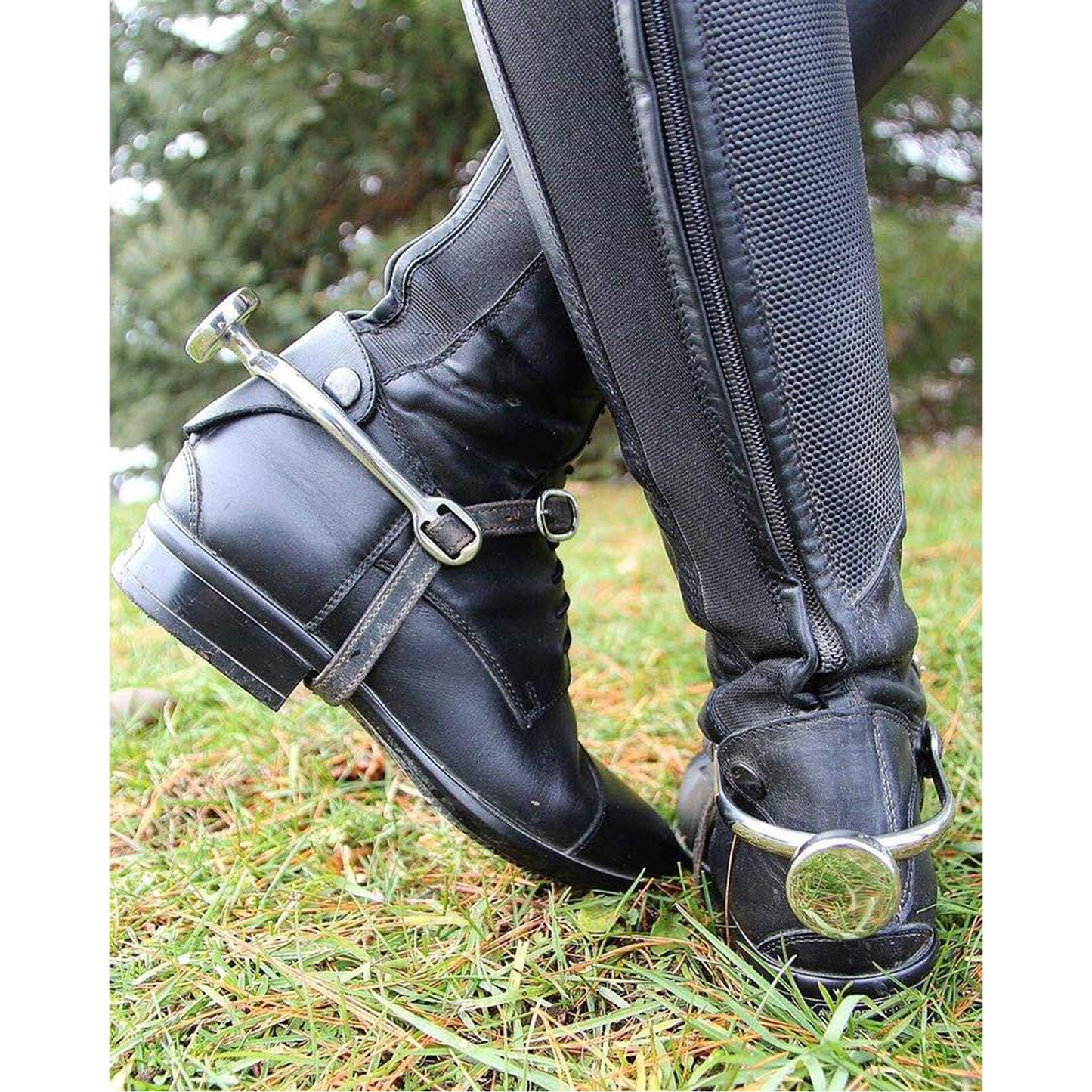 Spursuader Spur English