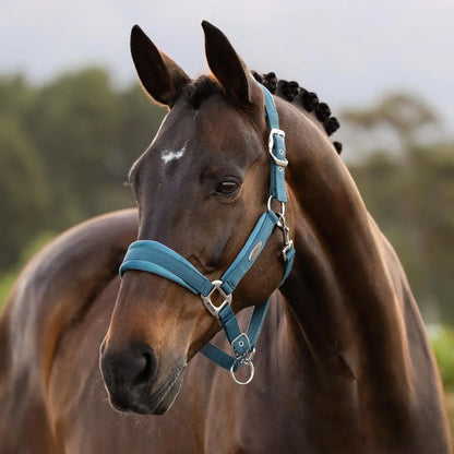 Versailles Headcollar
